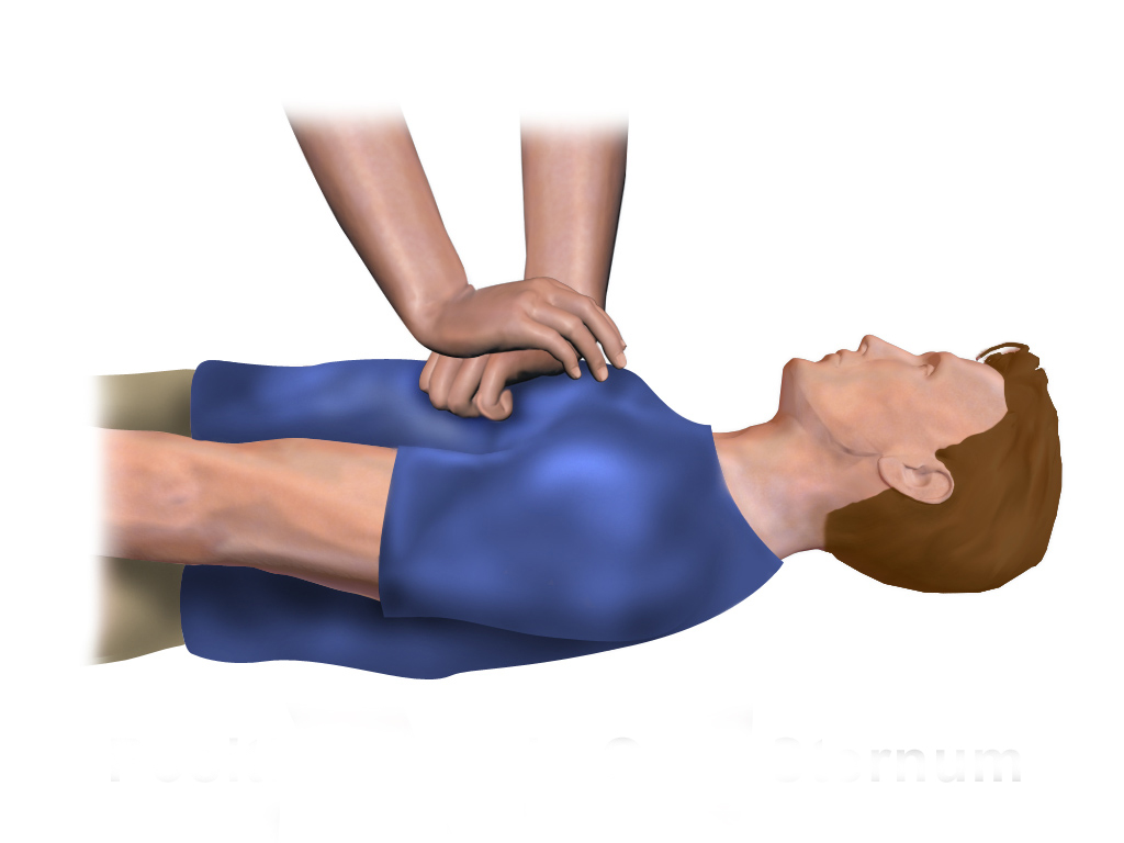 cpr adult
